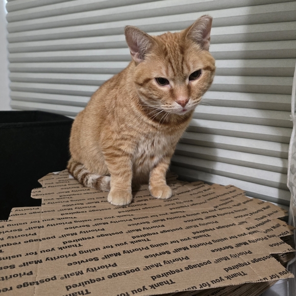 Like This To Be Notified Of Lives & Events! - Picture 17 of 17